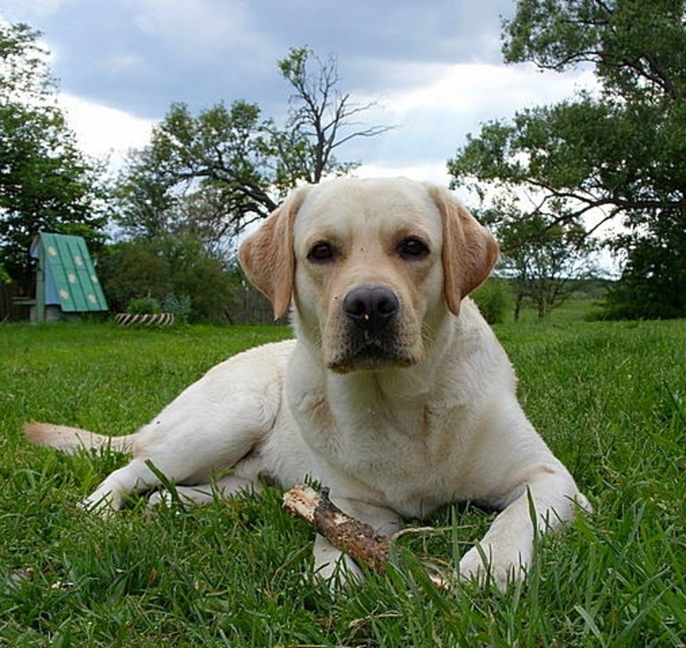 Photograph by Елена Кузина