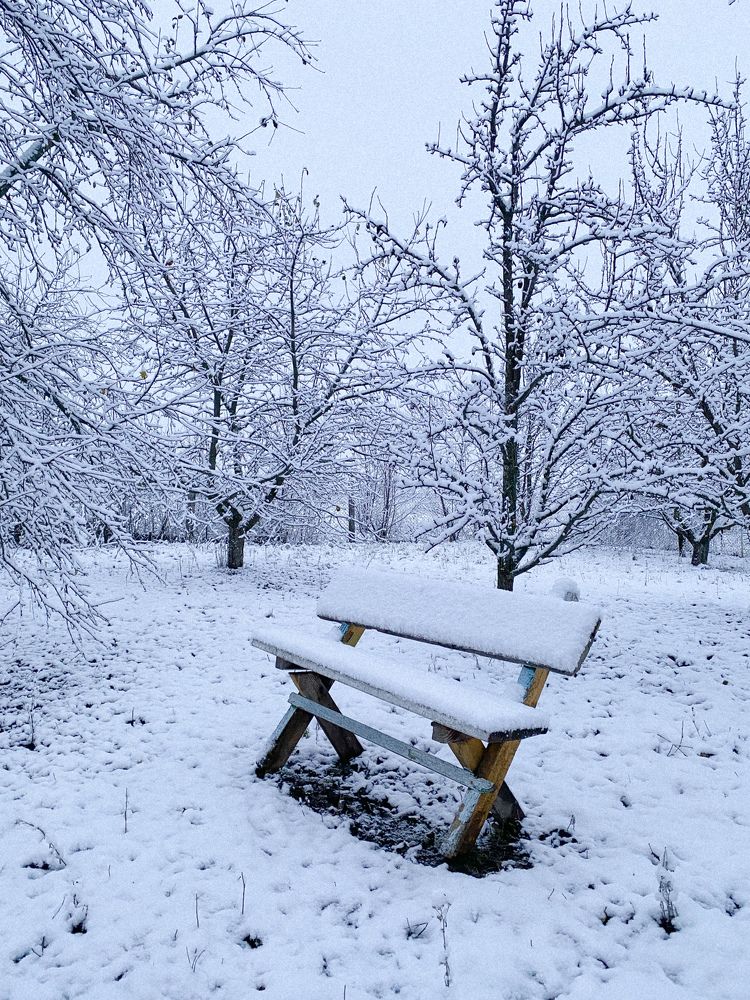 Photograph by Марина