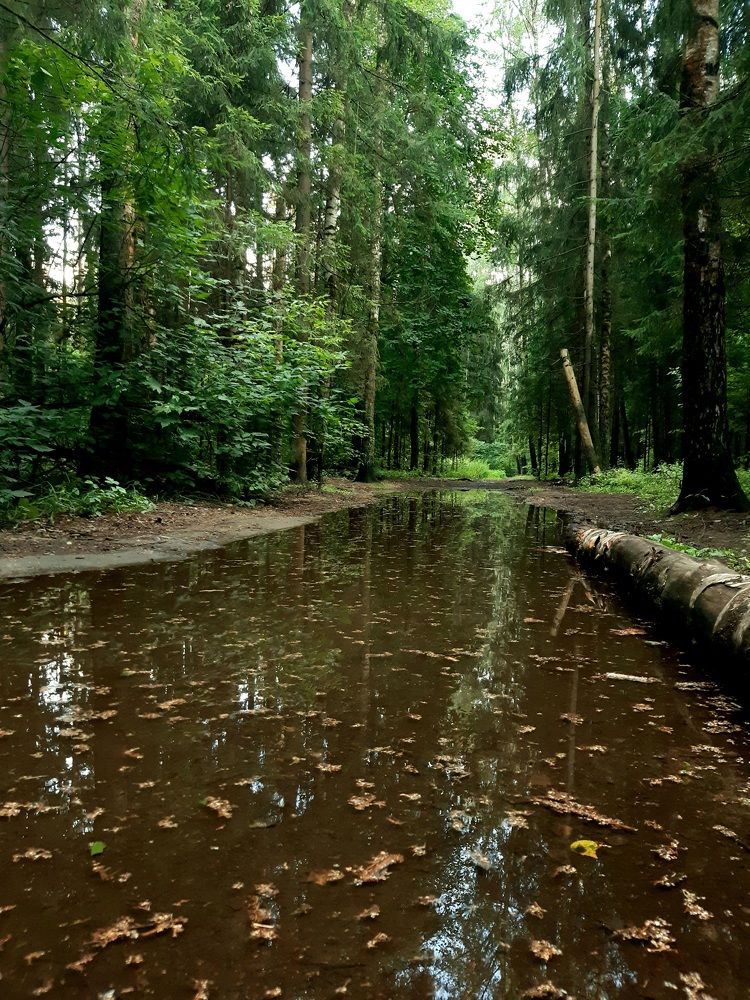 Photograph by Ольга