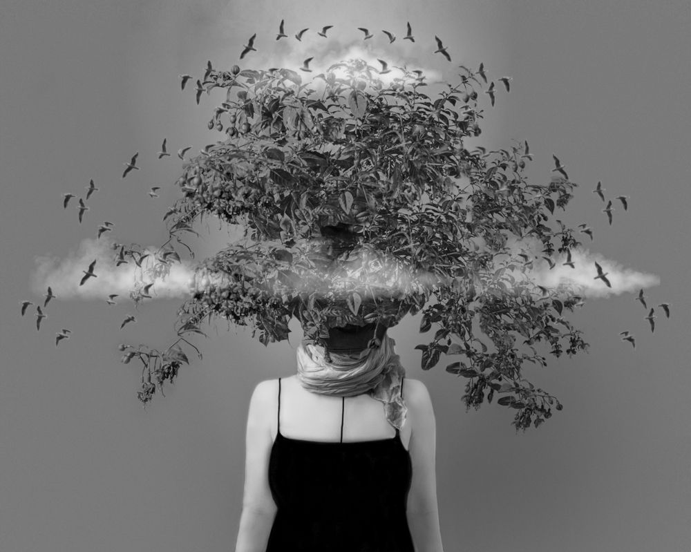 Photograph by Ольга Афанасенко