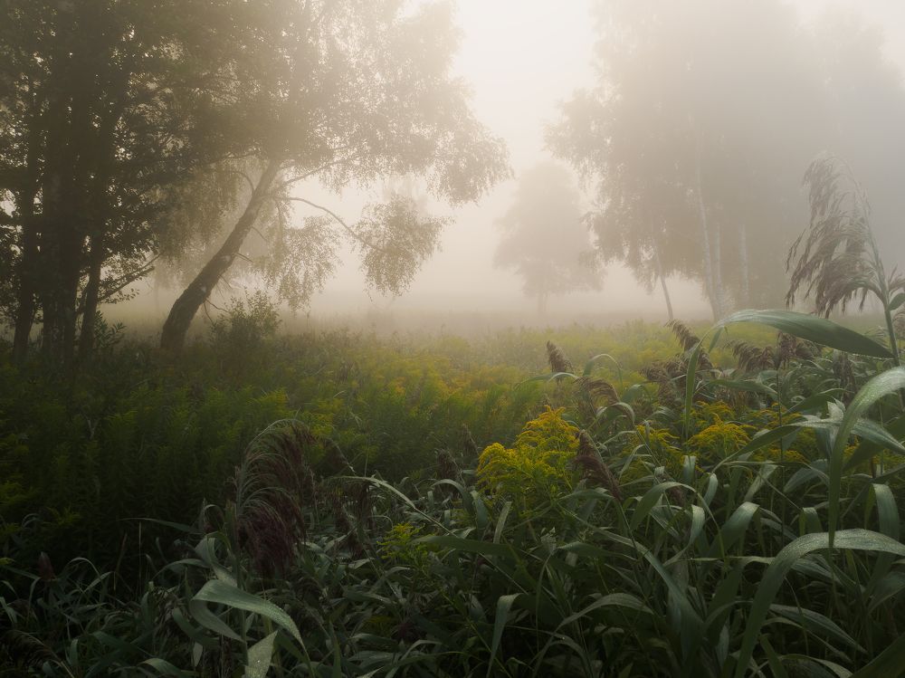 Фотография автора Андрей Врубель