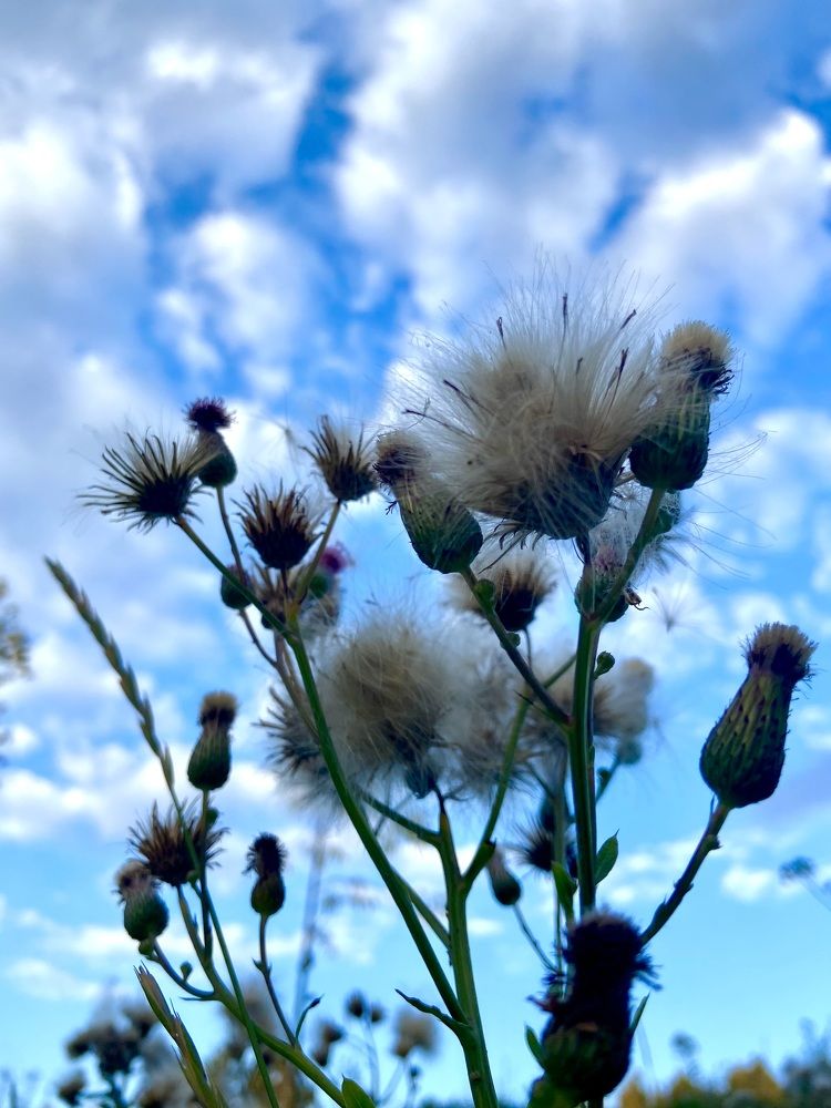 Photograph by Ирина