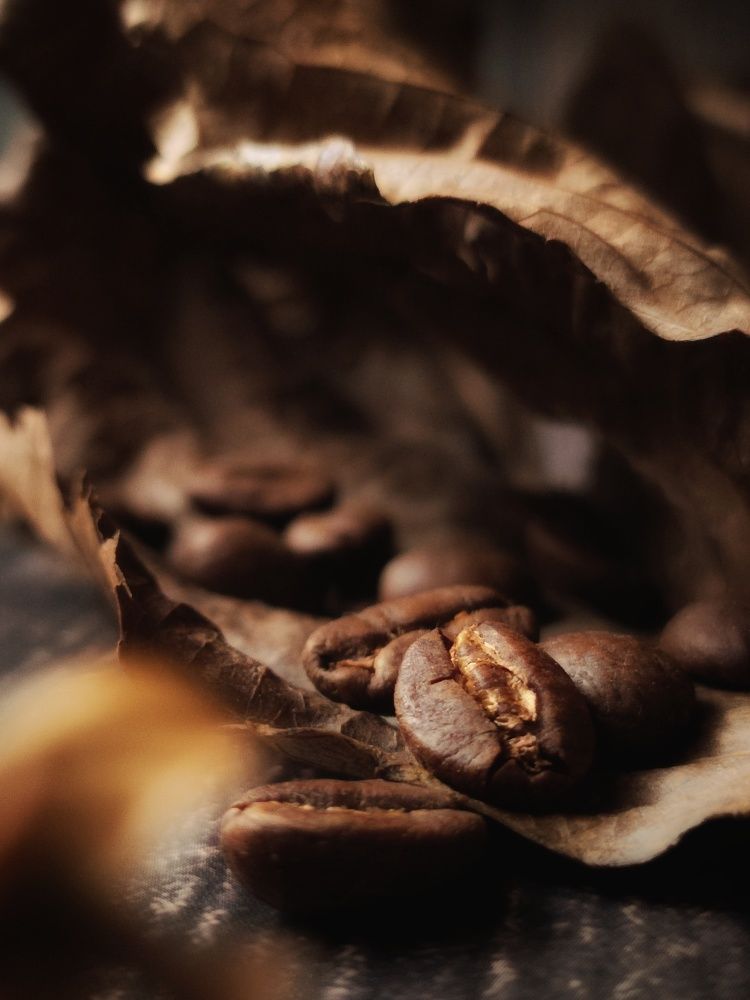 Photograph by Anastasia Malyukova