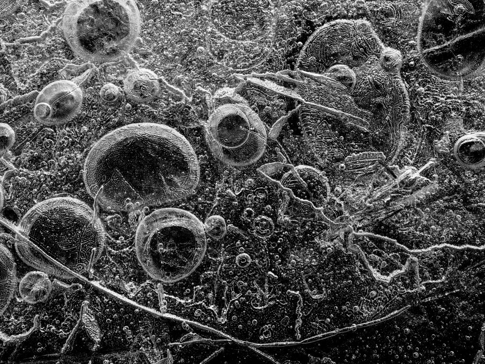 Photograph by Сергей Гаврилов