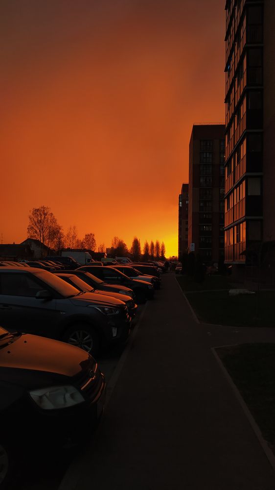 Photograph by Виталий Грачёв