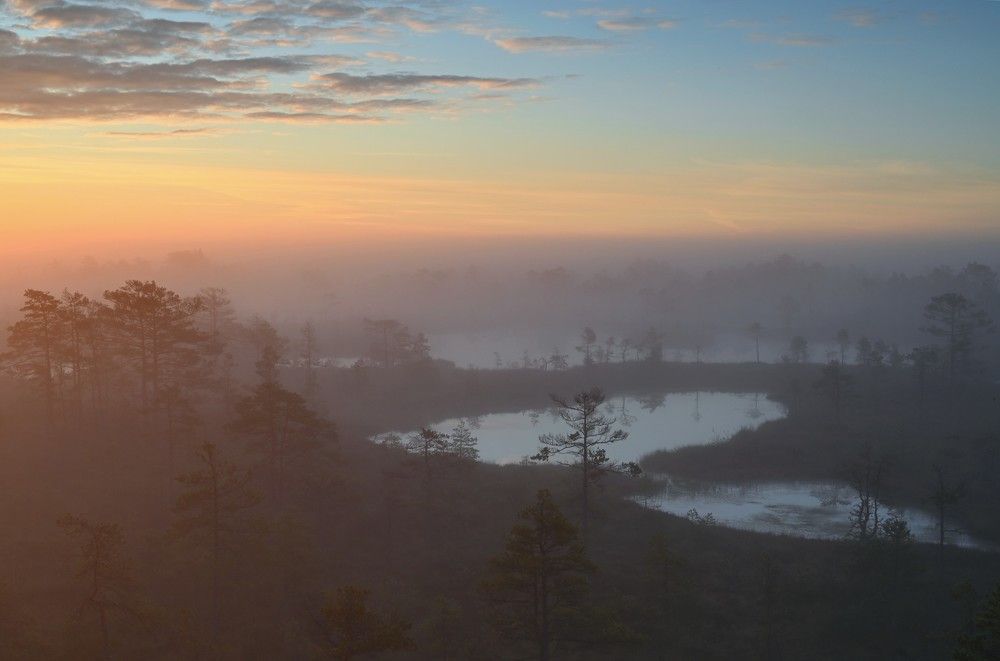 Photograph by IJA REIMAN