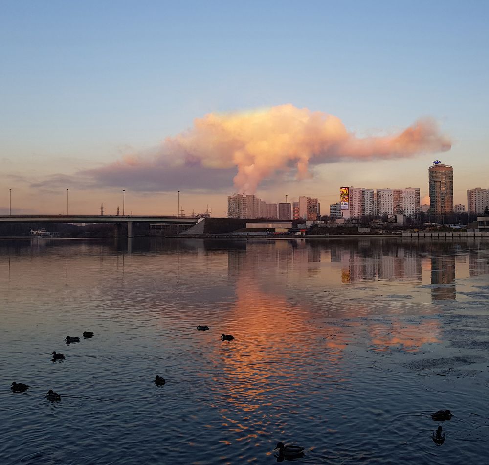 Динозавр выходит на закате
