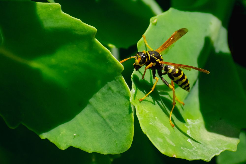 Photograph by Alexandra Kalasaridou