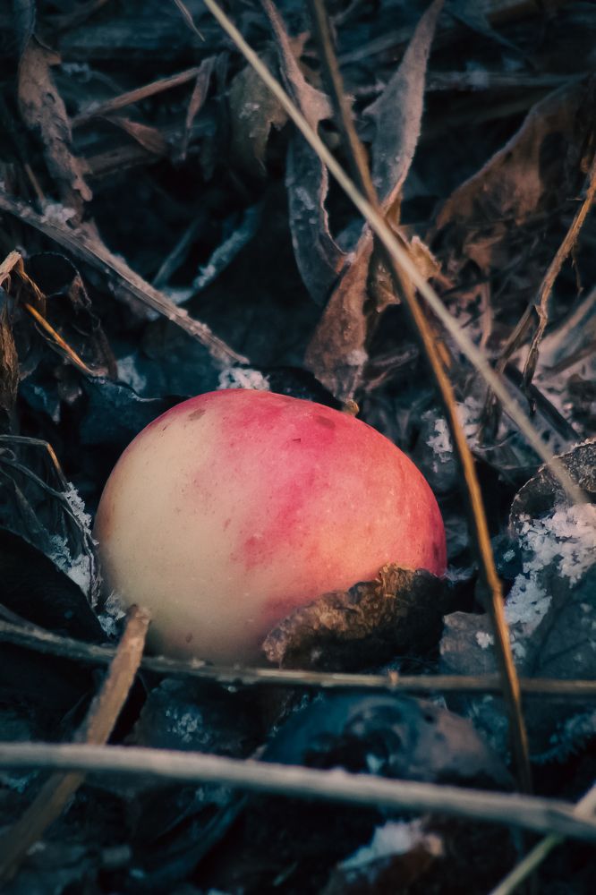 Photograph by Дмитрий Синицын