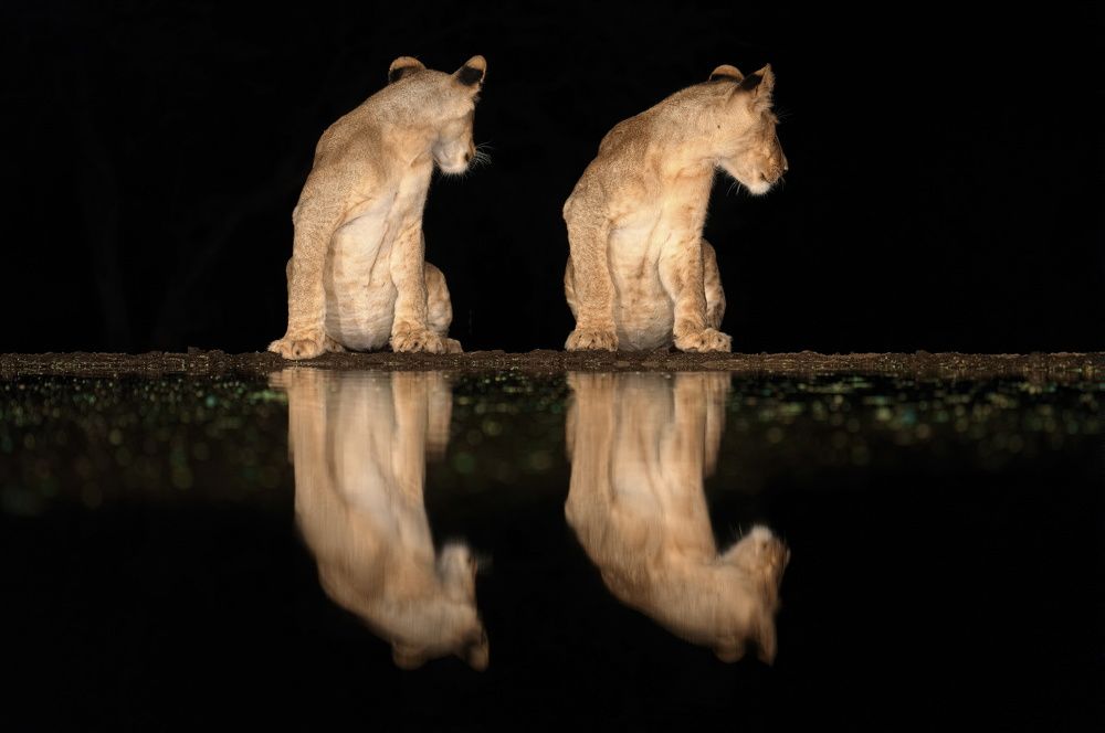Мы оглянулись посмотреть...