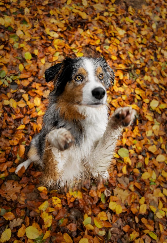 Photograph by Yong Lei van Barlingen