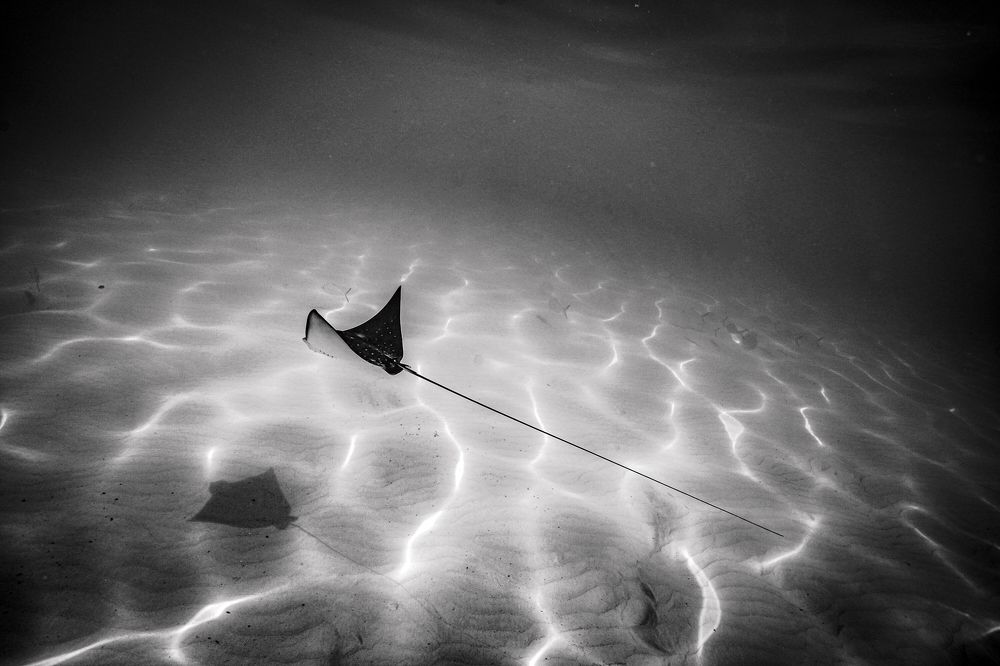 Photograph by Falk Schöndube