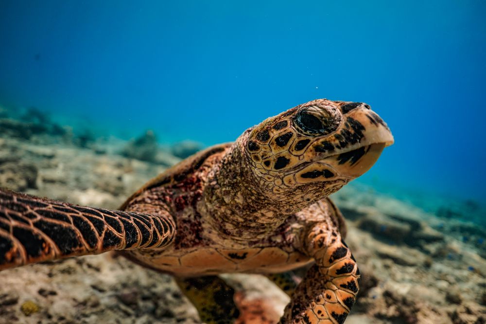 Photograph by Falk Schöndube