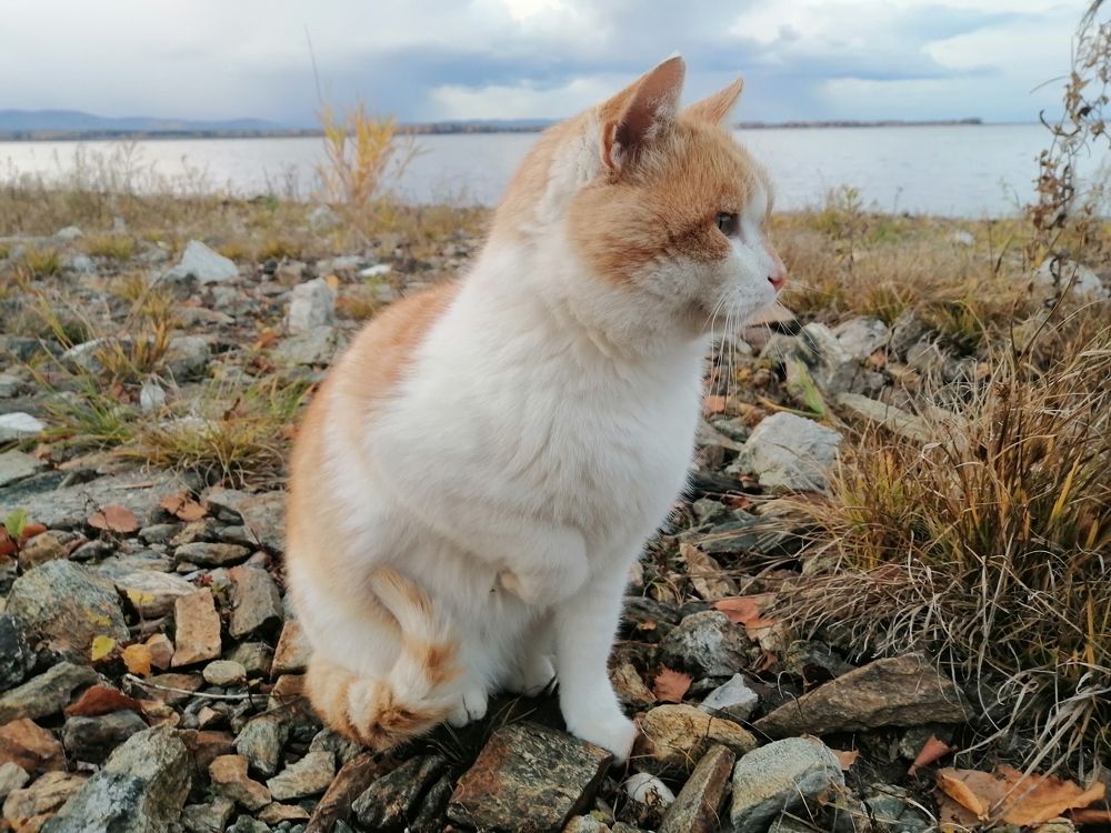 Photograph by Светлана Кудянова