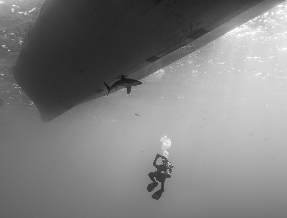 Неожиданная встреча