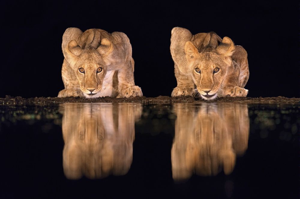 Ночной дозор 3 !))