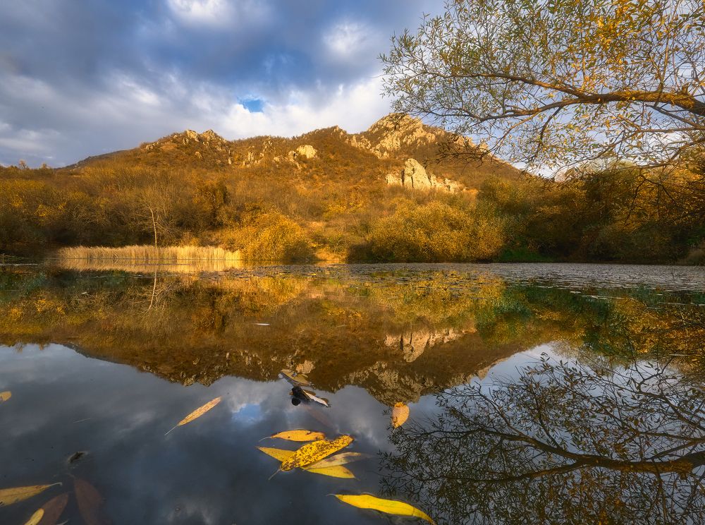 Фотография автора Ковалев Максим