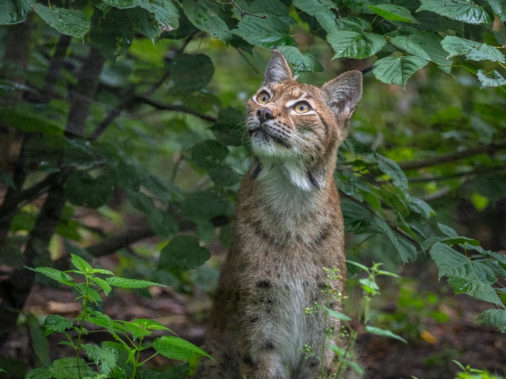 Photograph by Erik Nelson