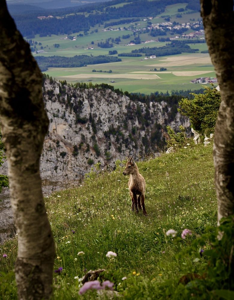 Photograph by Малика Маткарим