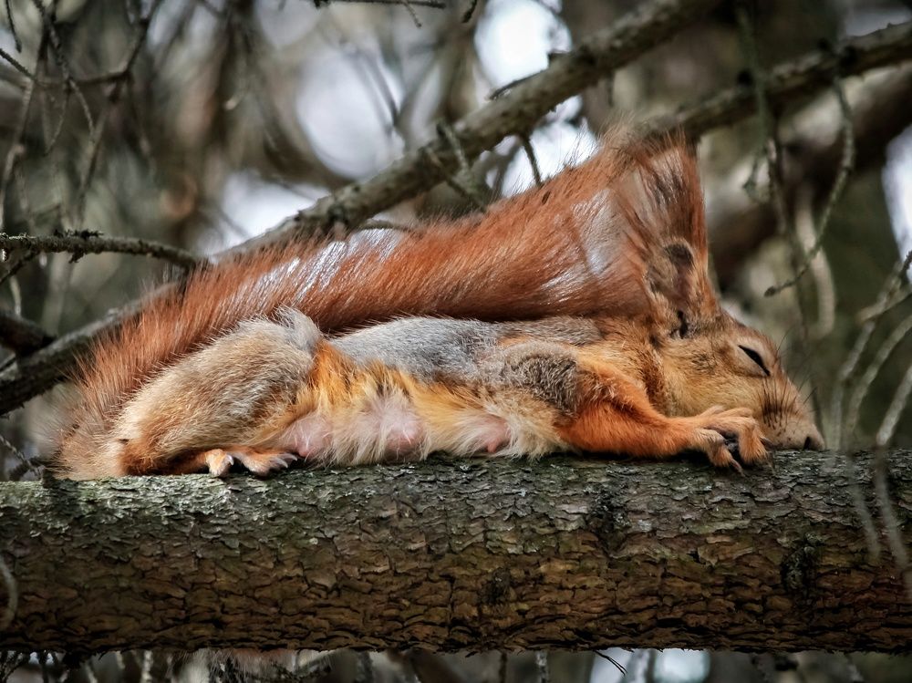 Photograph by Лора