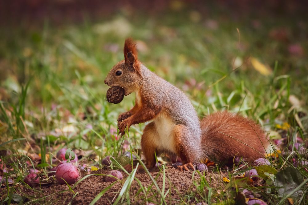 Photograph by Лора