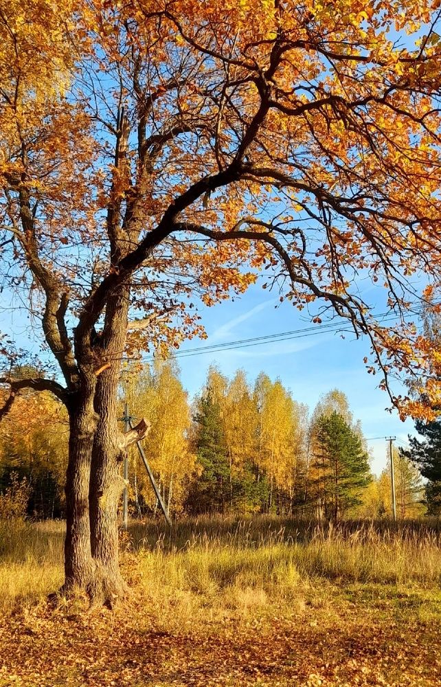 Photograph by Артём Мамонтов