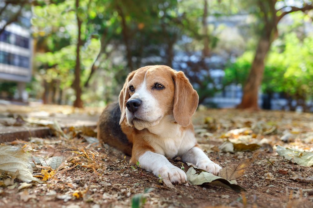 Photograph by Eduardo Machado