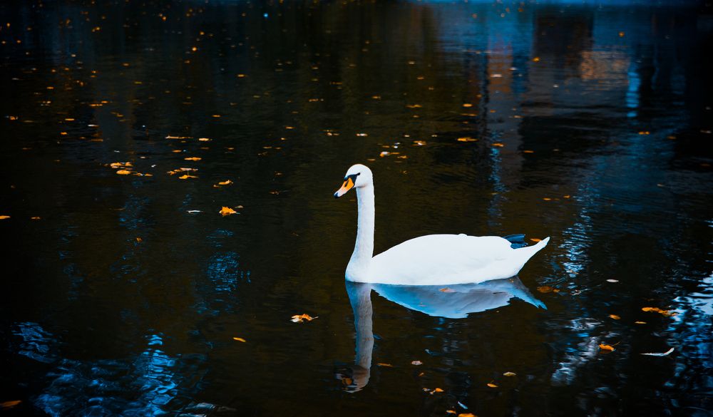 Photograph by Денис Панов