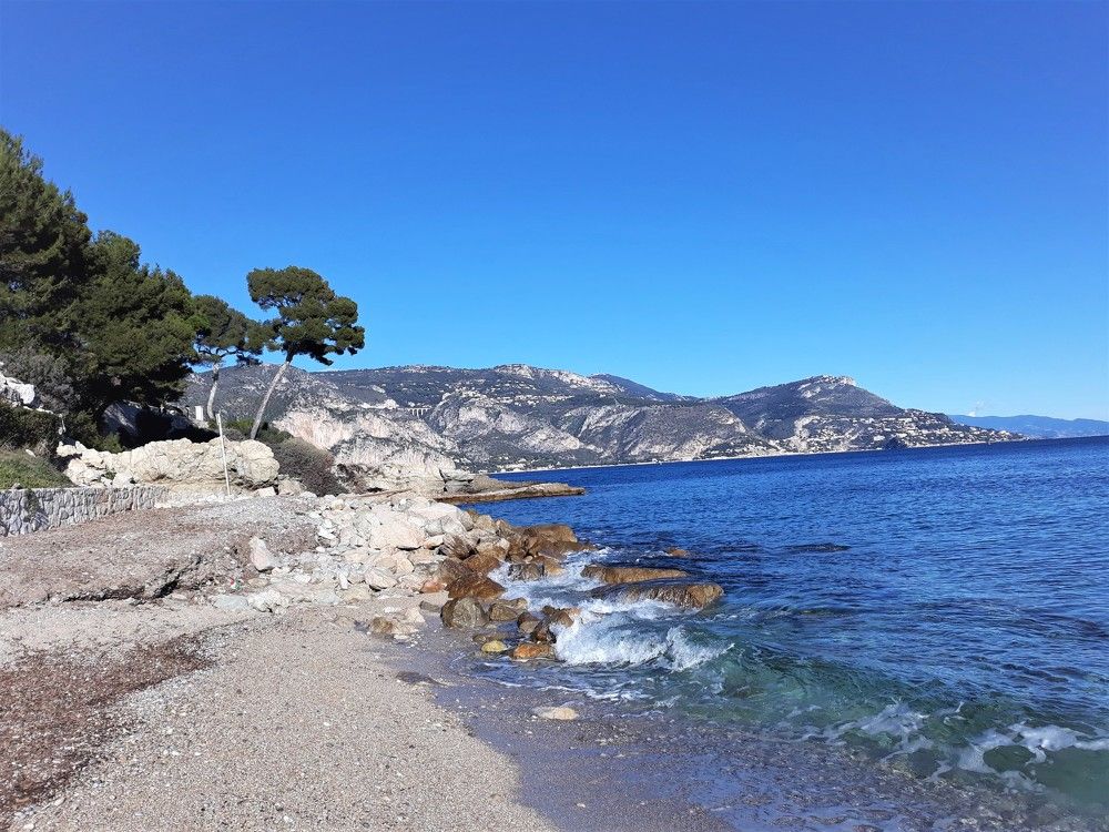 Photograph by Larissa Nayda