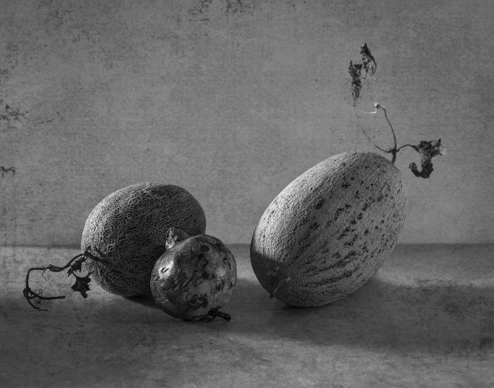 Photograph by Taтьяна Войлокова