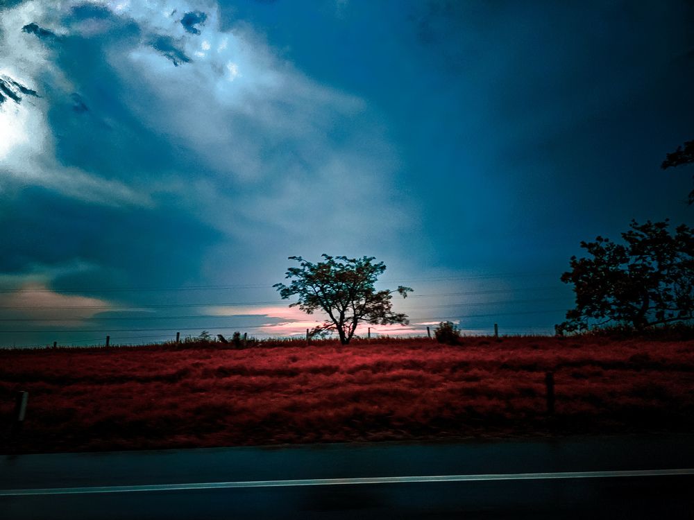 Фотография автора Elaine Almeida