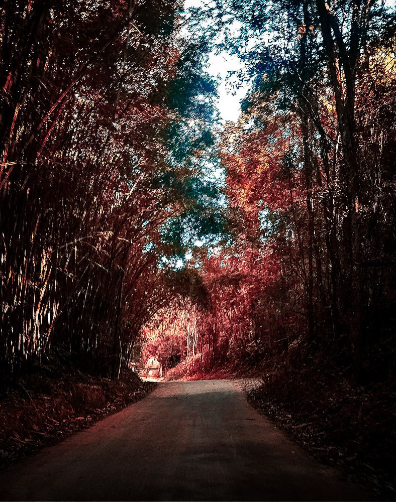 Em algum lugar pelo Brasil