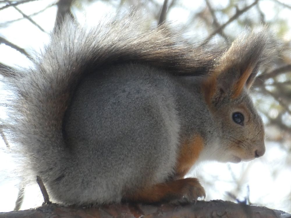 Photograph by Андрей Садчиков