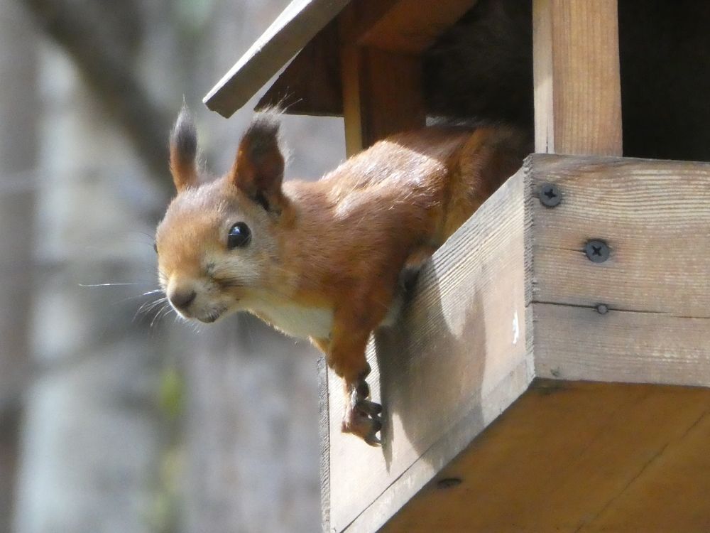 Photograph by Андрей Садчиков