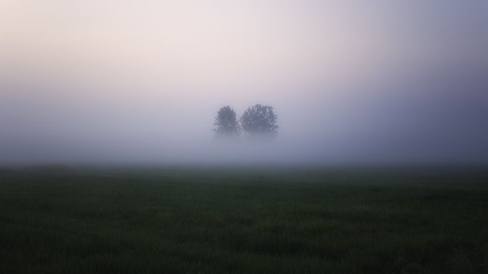 Фотография автора Rituxi