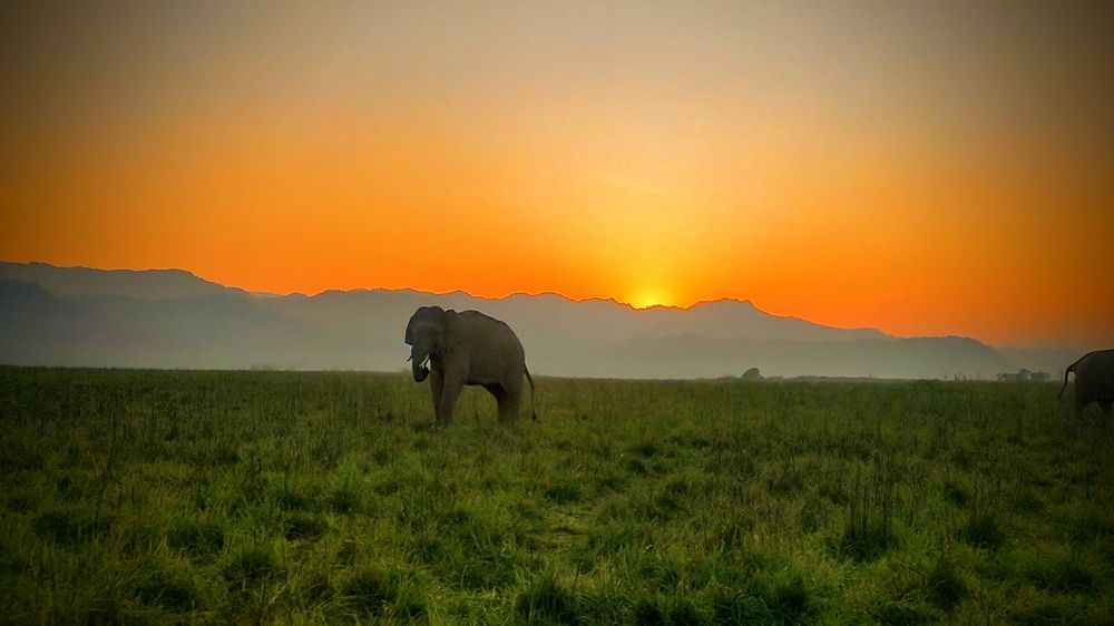 Photograph by Nirup Datta