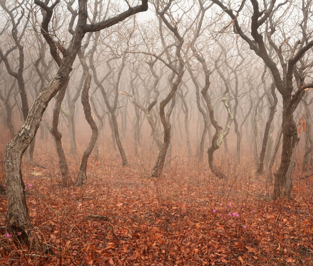 Photograph by Едуш Сергей