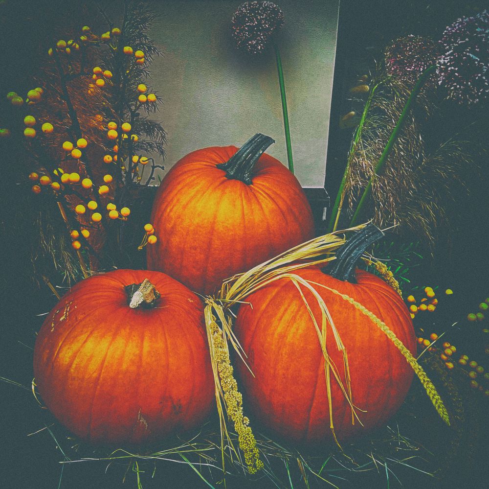 Photograph by Lana Cardi