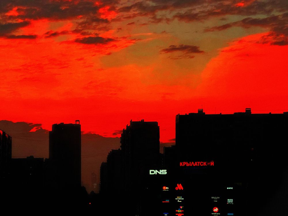 Photograph by Lana Cardi