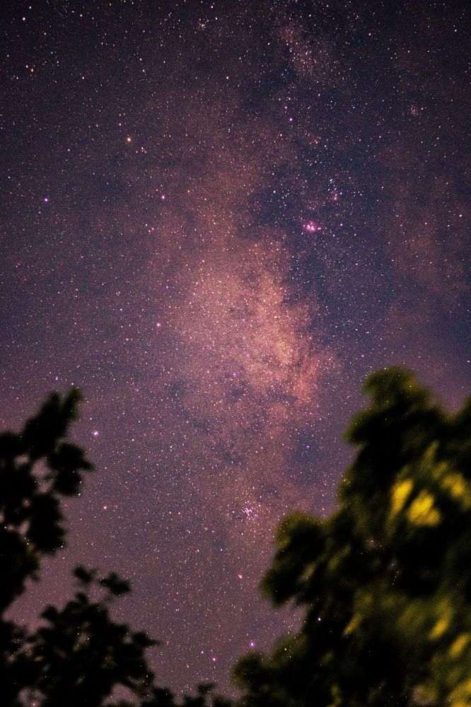 Photograph by GOVIND VISWANATH