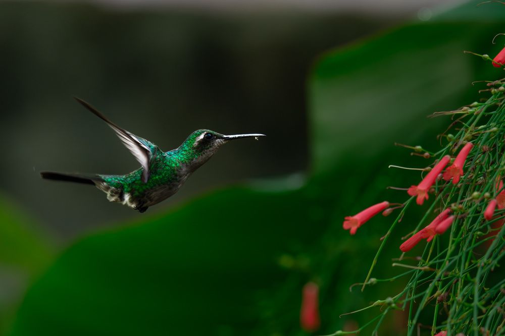 Photograph by Abel Cancino Gutierrez