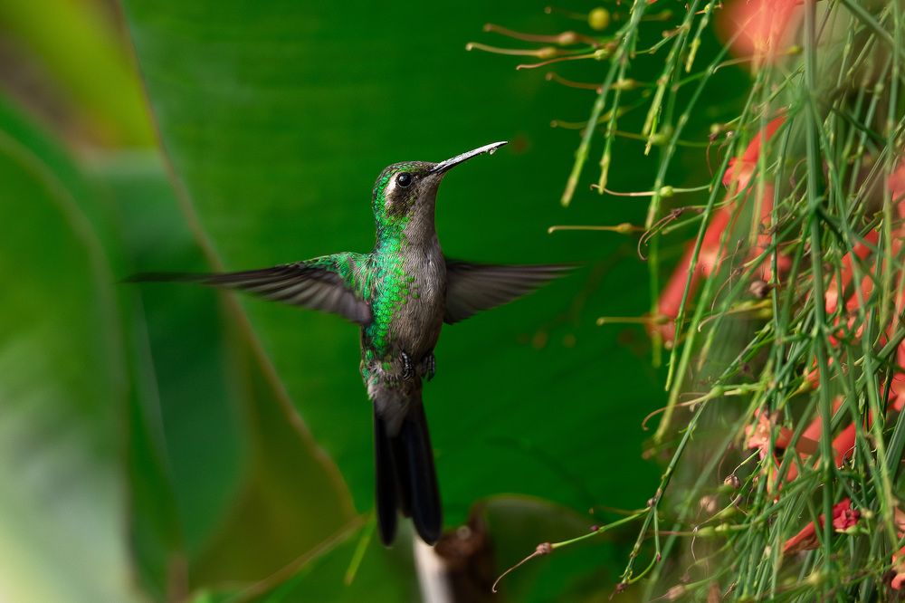 Photograph by Abel Cancino Gutierrez