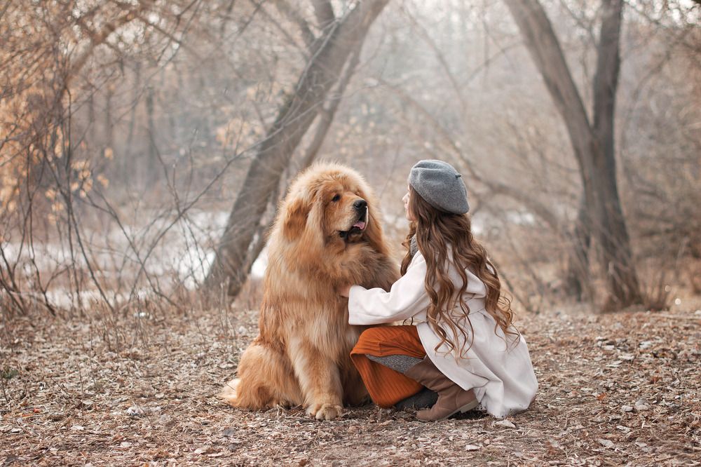 Photograph by Екатерина Ледовская