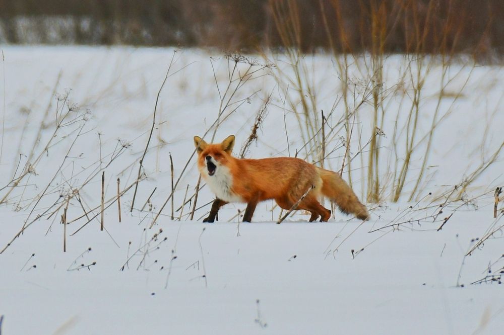 Photograph by Максим Рати