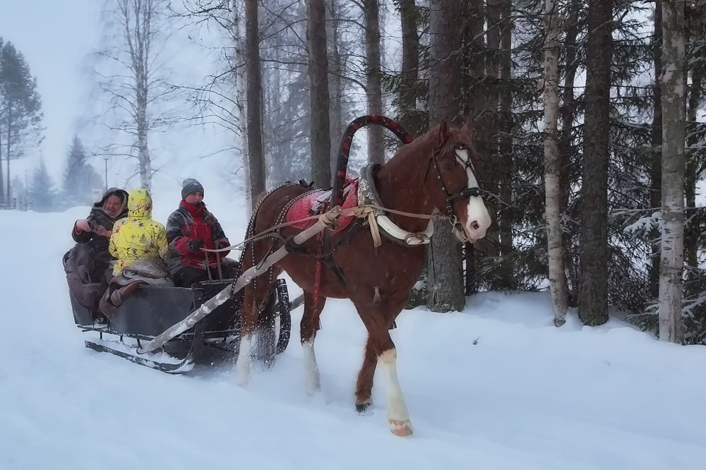 Photograph by Олег Раков