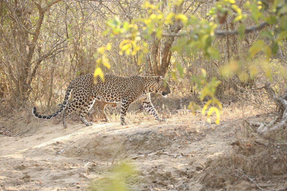 Photograph by Vinod Vidushka M.L.