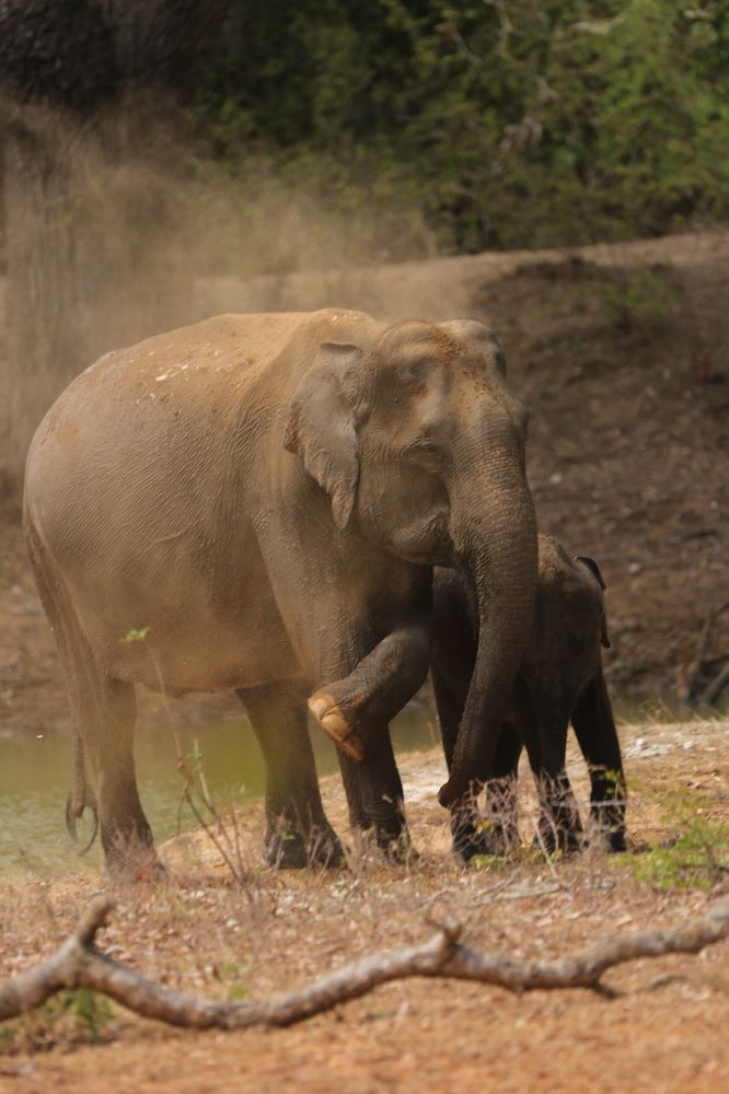 Photograph by Vinod Vidushka M.L.