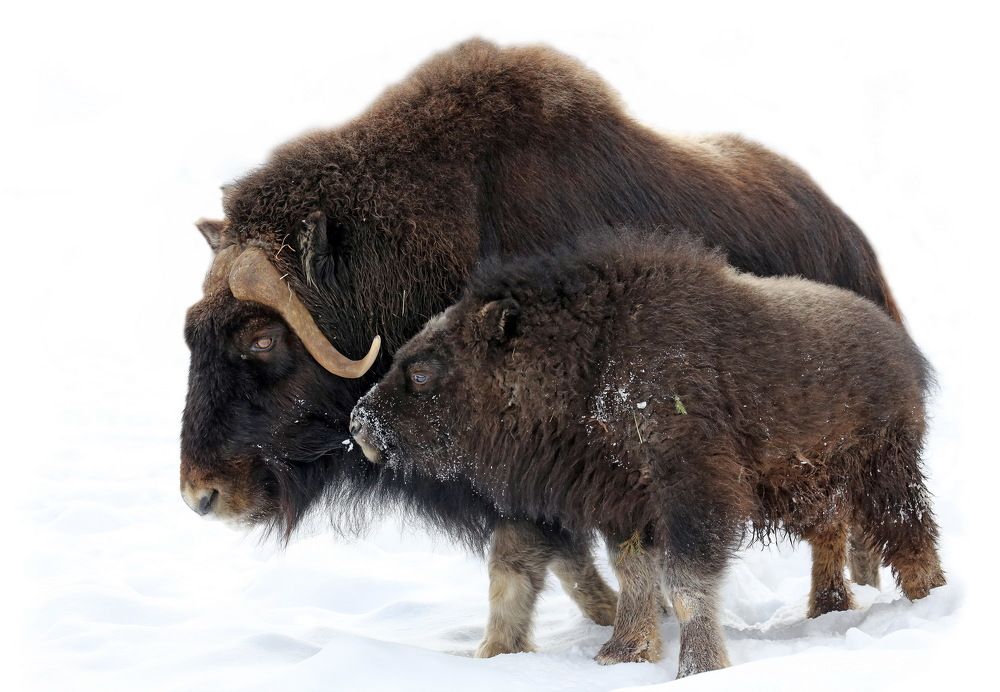 Photograph by Бибичков Михаил