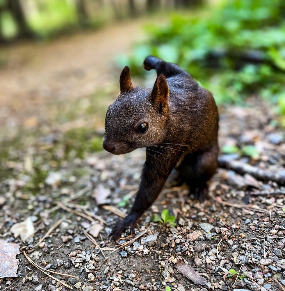 Photograph by Привалов Андрей