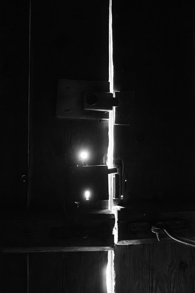 Photograph by Tania Gultekin